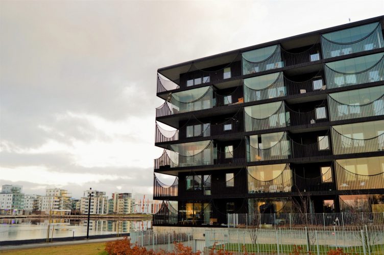 pexels-jonathan-petersson-399197