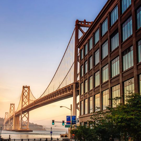 pexels-quintin-gellar-612949